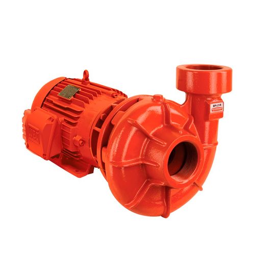 Bomba de Incendio Schneider BPI 21 R Saida Roscada Saida Roscada 2" x 1/2" 5Cv Monofasico