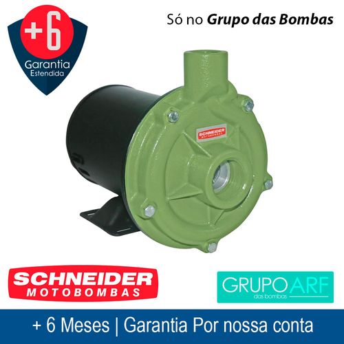 Bomba Centrifuga Schneider BC 92S 1B 1,5Cv 127/220V Monofasico