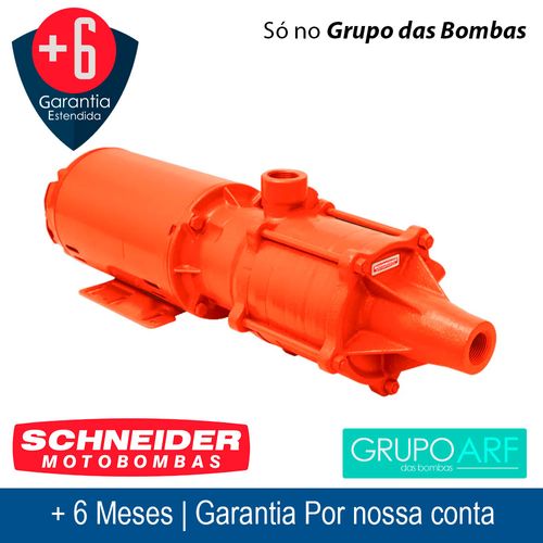 Bomba Jockey de Incendio Schneider BPI ME AL 1210 1Cv Trifasico 220/380V