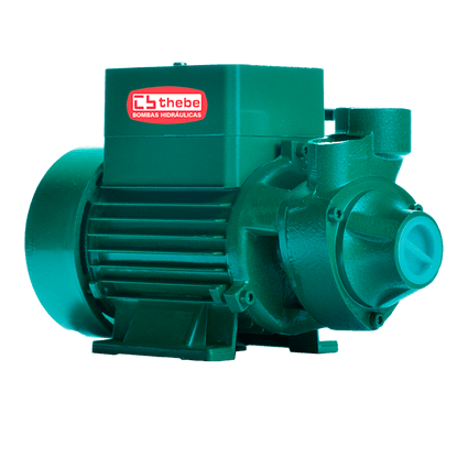 Bomba de Agua Solar Thebe Ecaros Periferica TP CI 540 W Motor Thebe IP44 72 V