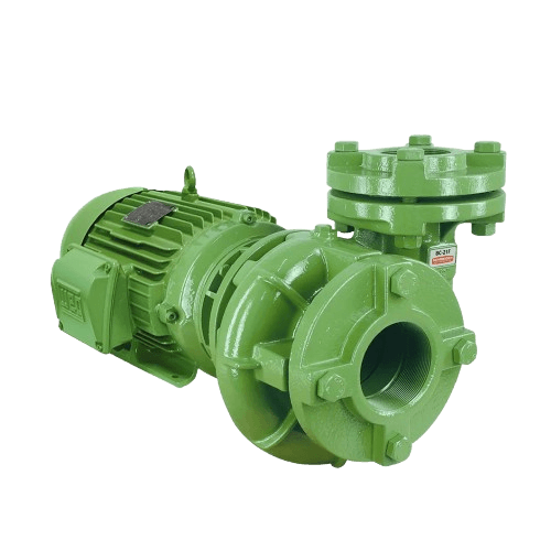 Bomba Centrifuga Schneider BC 21 R Saida Roscada 2" x 1/2" 5Cv Monofasico